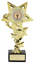 15CM GOLD STAR HOLDER 