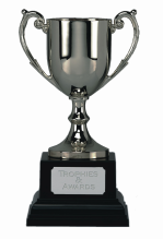 15cm TROPHY CUP