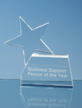 14cm Optical Crystal Single 'Rising Star' Award