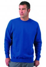 Classic Raglan Sleeve Sweatshirt