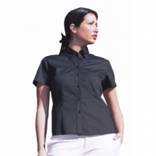 LADIES PINPOINT OXFORD SHORT SLEEVE SHIRT