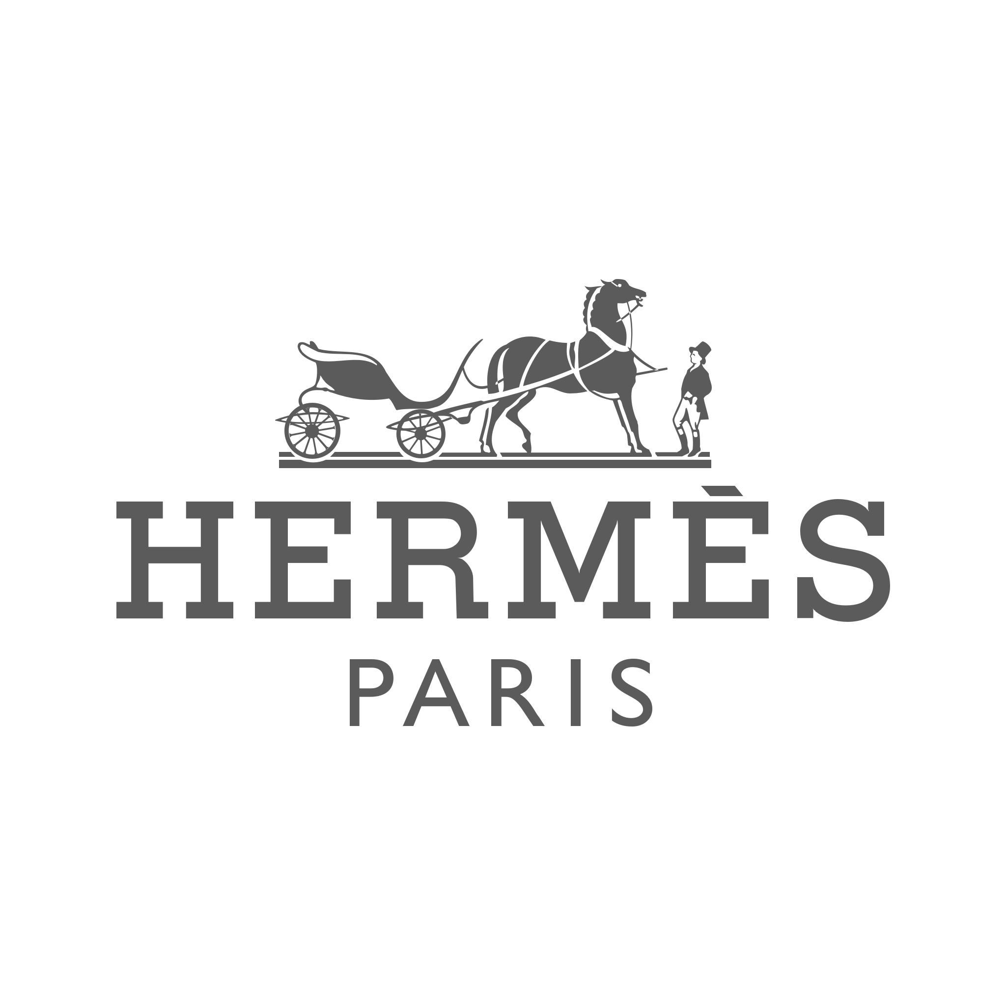 logo HERMES