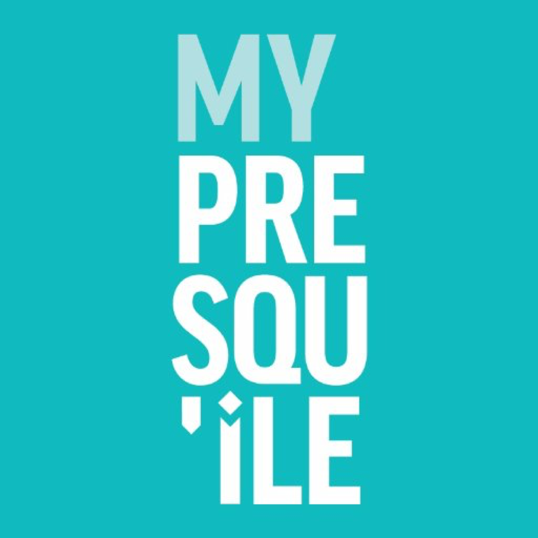 Image de Le photobooth pour promouvoir un festival local - Cas de My Presqu'île