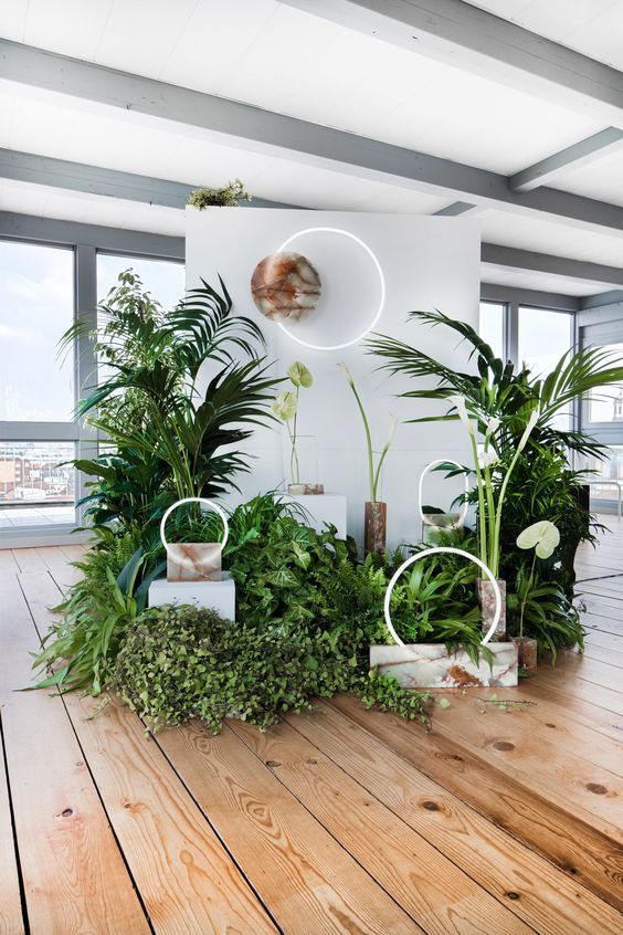 Fond photobooth plantes