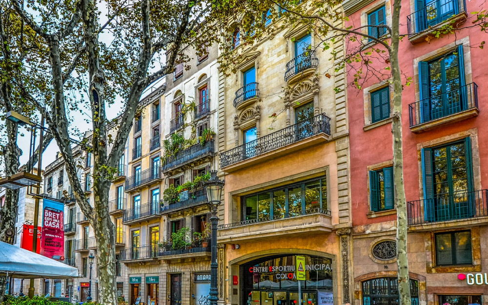 5 Dagen Barcelona Slangen Reizen Zeer voordelige reizen!