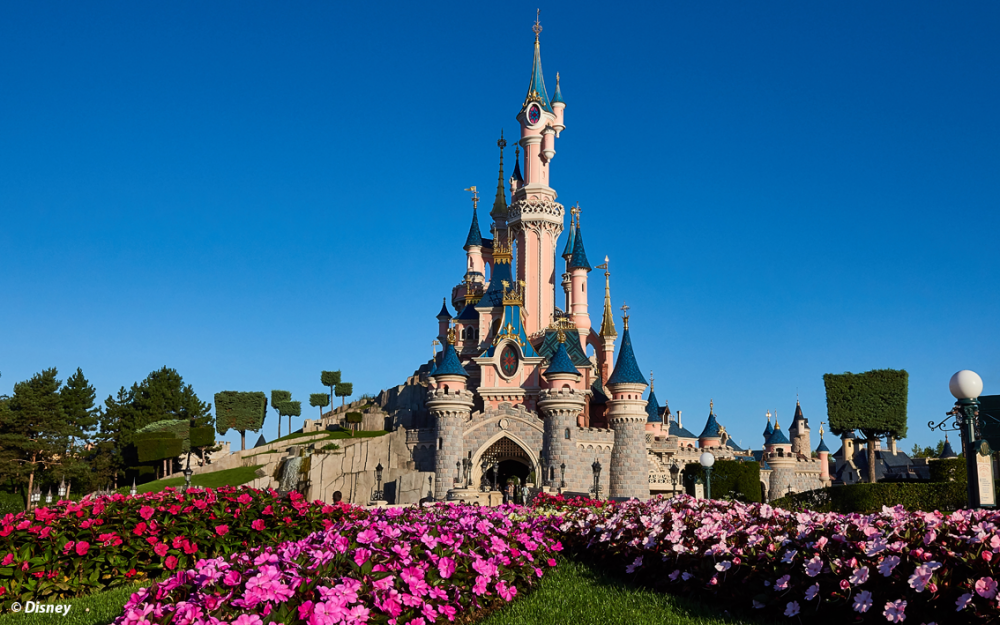 2 Dagen Disneyland® Paris - Slangen Reizen - Zeer voordelige reizen!