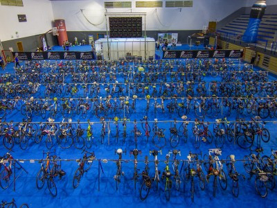 Организатор