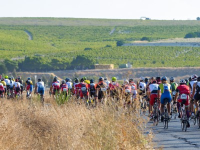 Организатор