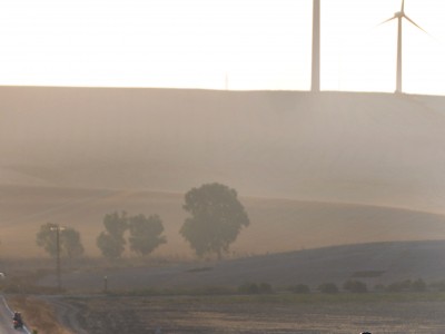 Организатор