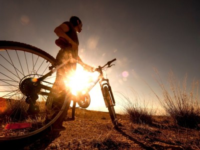 Организатор