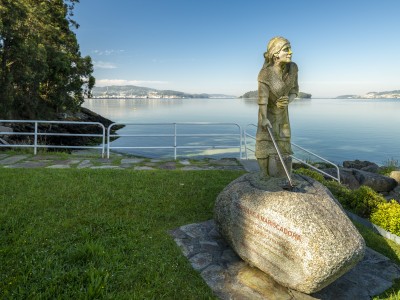 Организатор