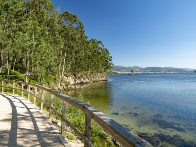 Организатор