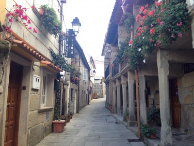 Организатор