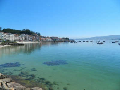 Организатор