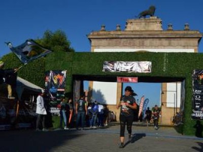 Организатор