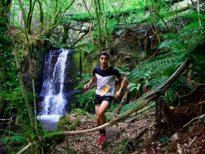 Организатор