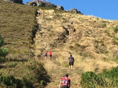 Организатор