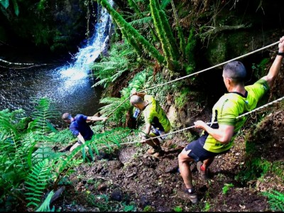 Организатор