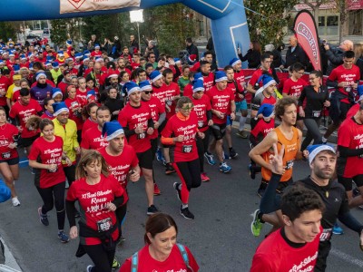 Организатор