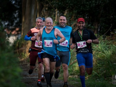 Организатор