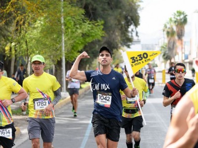 Организатор