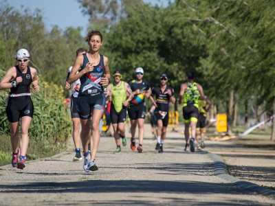 Организатор