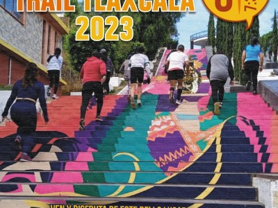 Организатор