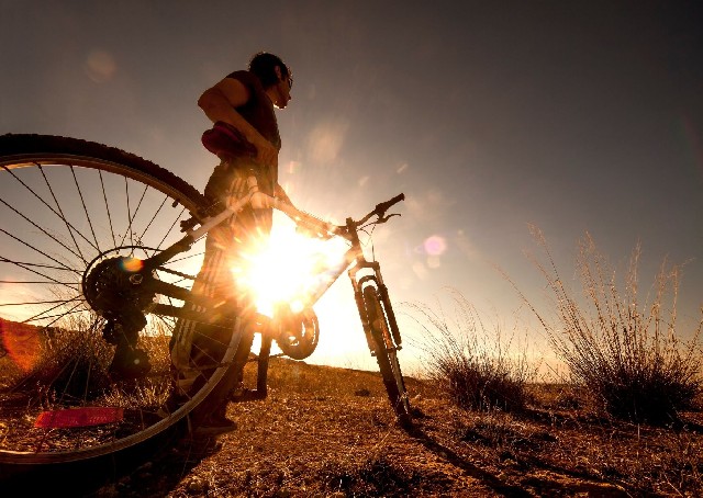 Организатор