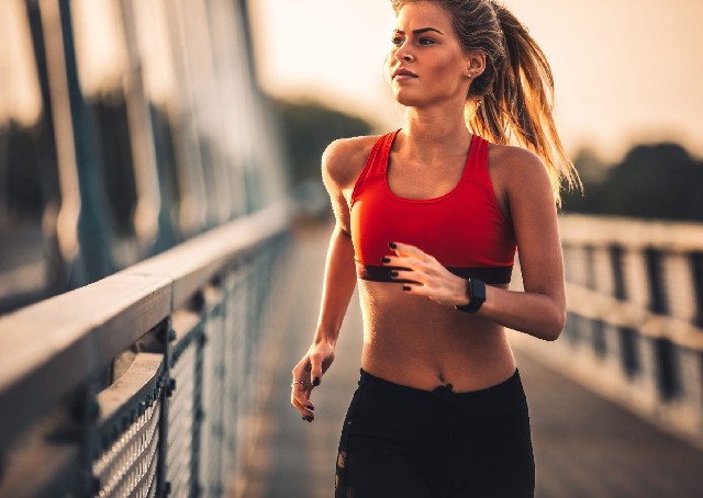 Организатор