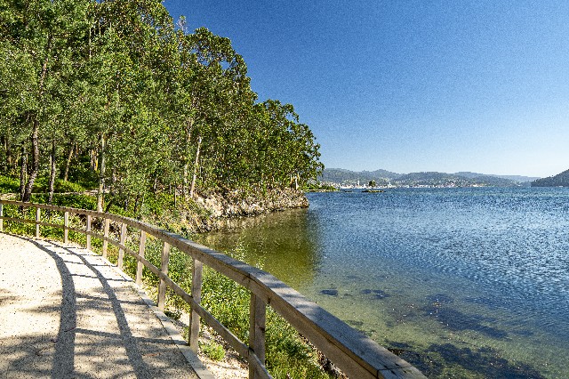 Организатор