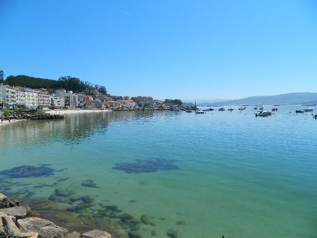 Организатор