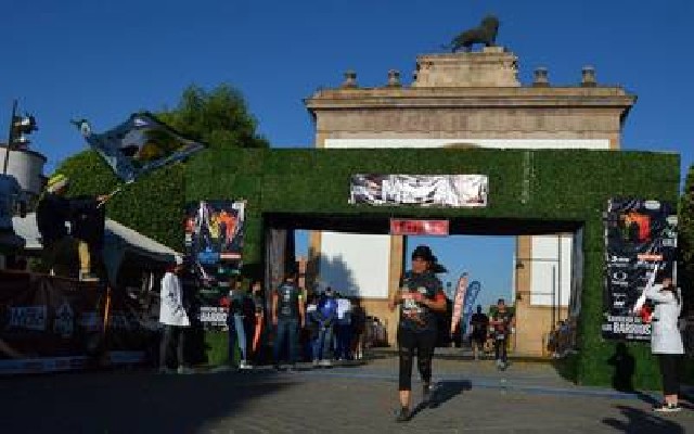 Организатор