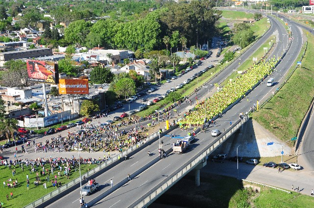 Организатор