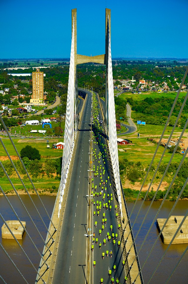 Организатор