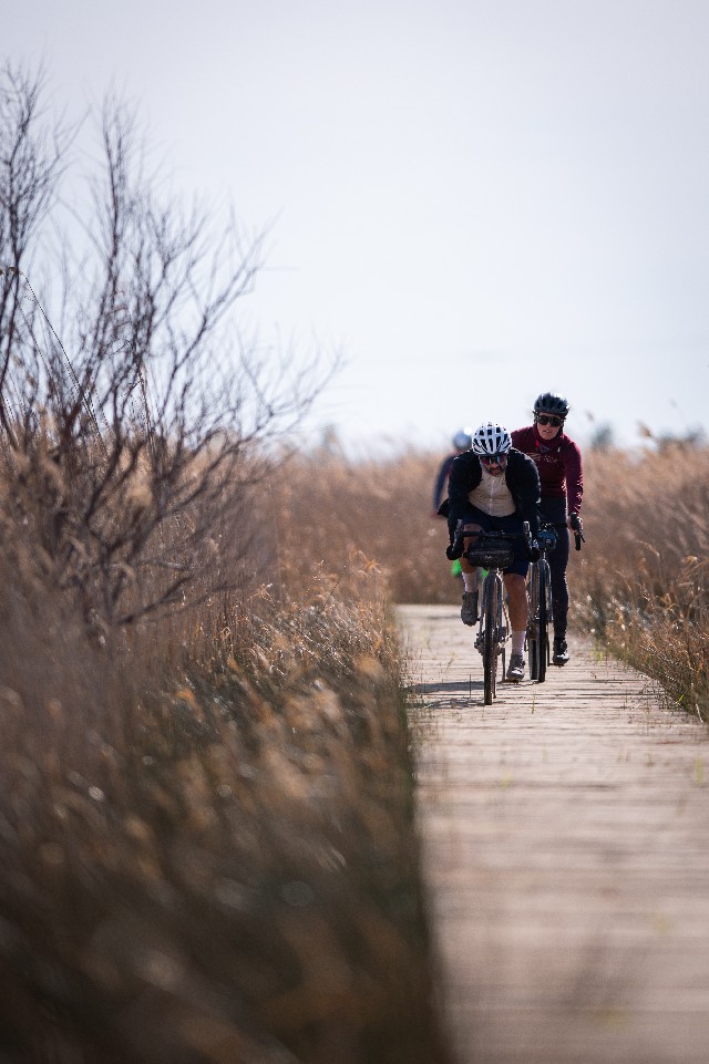 Организатор