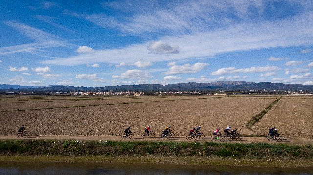 Организатор