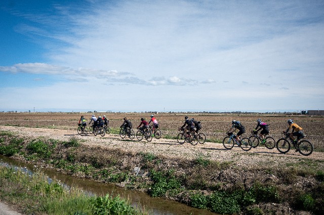 Организатор