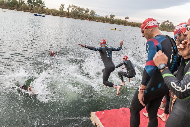 Организатор