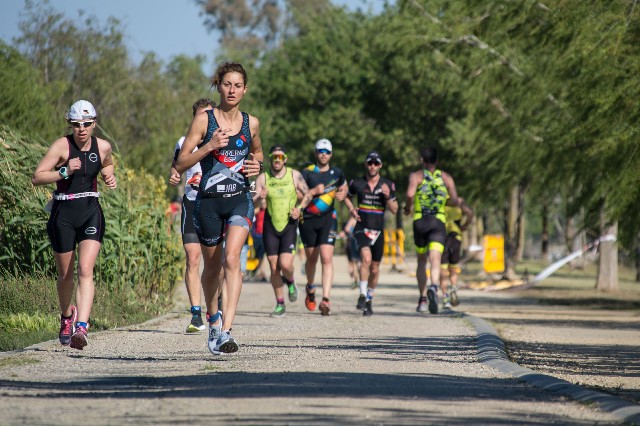 Организатор