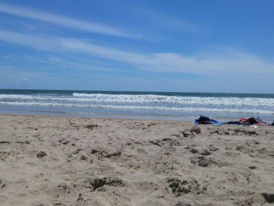 pedro jesus Domínguez Fernández