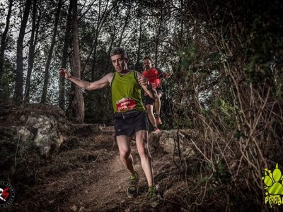 JUAN JOSE BISBAL MOLINA