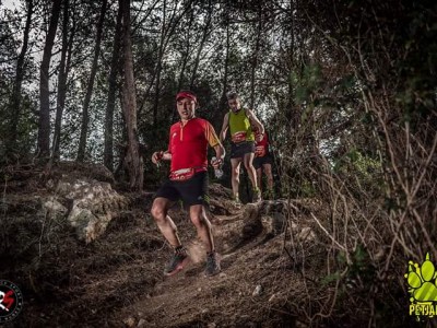 JUAN JOSE BISBAL MOLINA