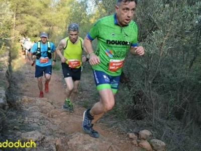 JUAN JOSE BISBAL MOLINA