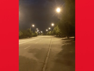 Francisco Javier Pedraza Verdugo