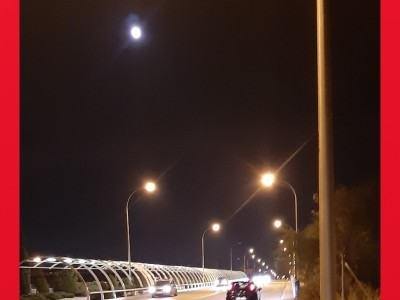 Francisco Javier Pedraza Verdugo