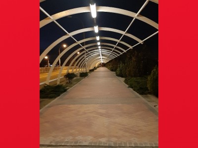 Francisco Javier Pedraza Verdugo