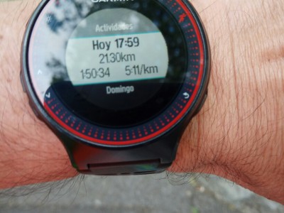 Pedro Luis  Diaz Fernandez