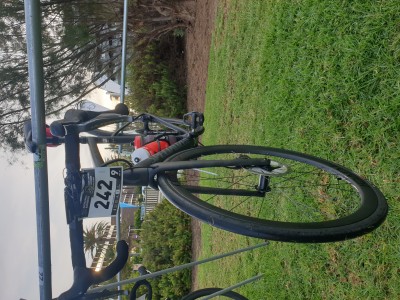 Carlos Rodríguez Falcón