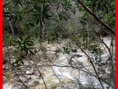 Pedro de las Heras Ortiz