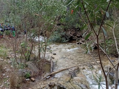 Pedro de las Heras Ortiz